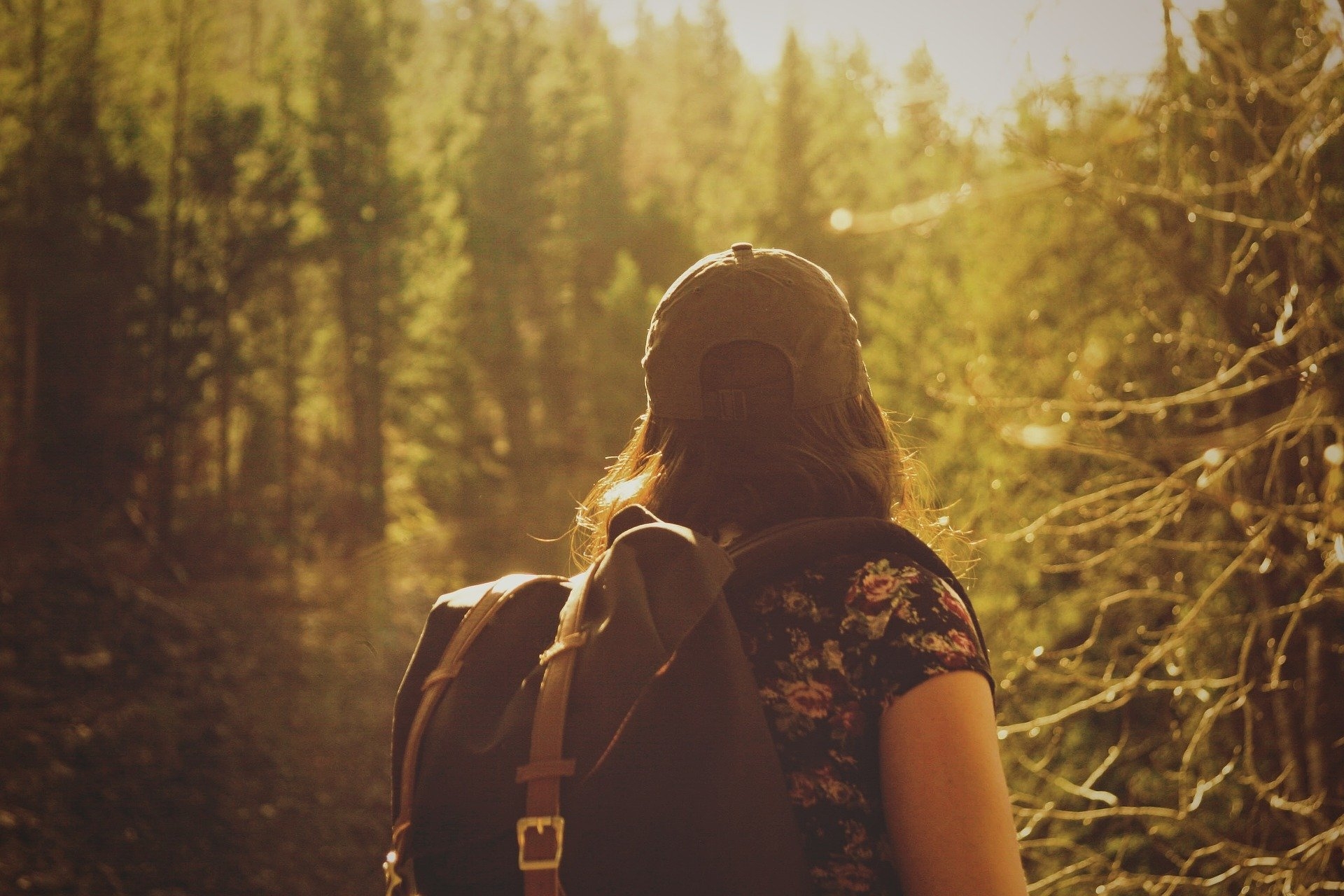 Ein Mädchen steht mit Rücken zur Kamera. Auf dem Rücken trägt sie ein Rucksack und auf dem Kopf eine Mütze. Im Hintergrund sieht man einen Wald der mit Sonnenlicht angeleuchtet wird. 